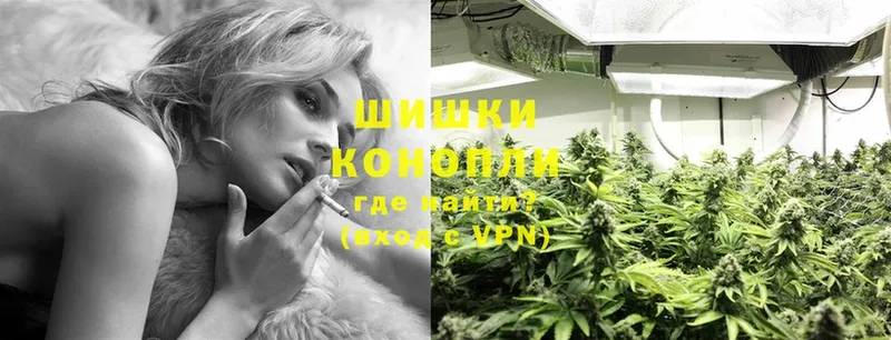 где купить наркотик  ОМГ ОМГ tor  Конопля White Widow  Дорогобуж 